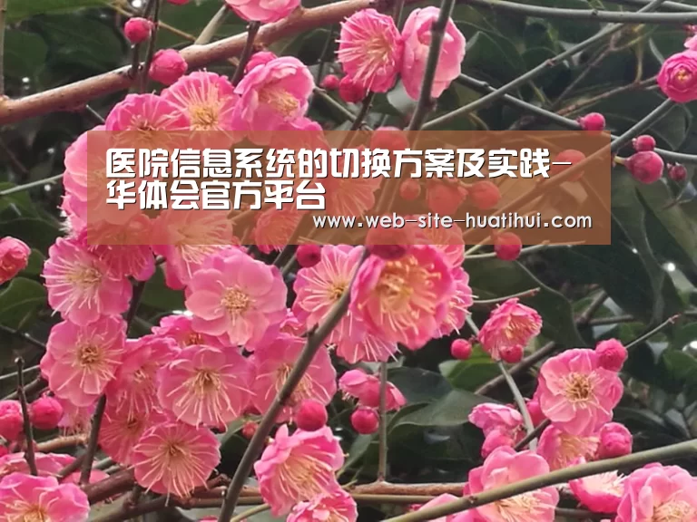 医院信息系统的切换方案及实践-华体会官方平台(图3) 华体会官方平台
