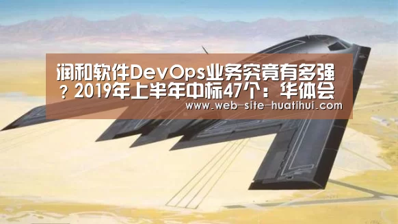 润和软件DevOps业务究竟有多强?2019年上半年中标47个:华体会体育app下载(图3) 华体会官方网站入口