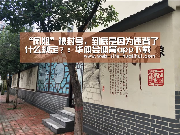 “凤姐”被封号,到底是因为违背了什么规定?:华体会体育app下载(图2) 华体会官方网站入口