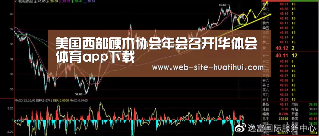 华体会官方网站入口