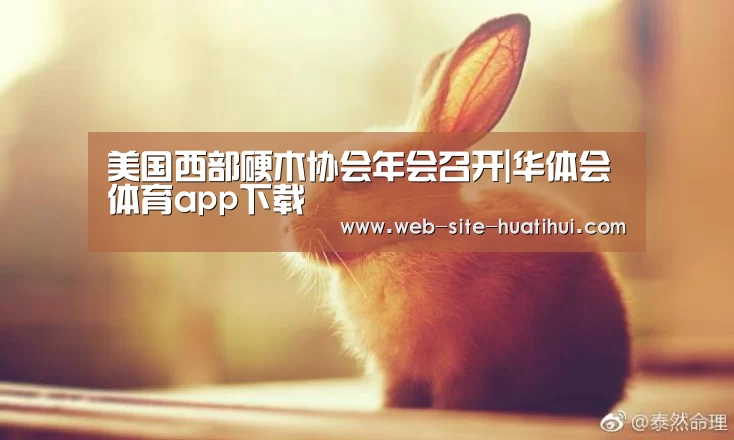 华体会官方网站入口