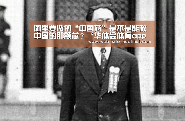阿里要做的“中国芯”是不是能救中国的那颗芯?‘华体会体育app下载’(图3) 华体会体育app下载