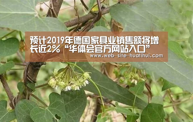 预计2019年德国家具业销售额将增长近2%“华体会官方网站入口”(图2) 华体会官方平台
